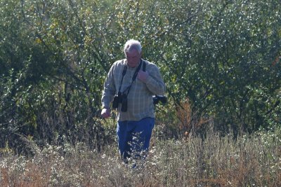 Don Carrier Looking for Sparrows