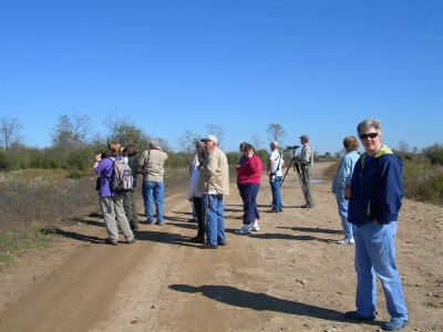  Birding Beaver Knob Stripsite