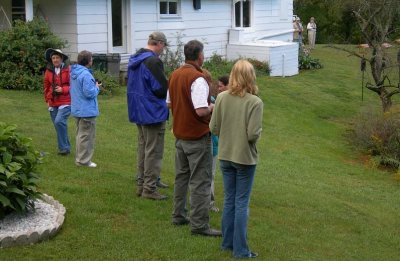 Side yard Birding