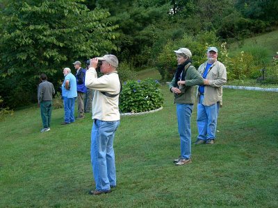 Looking at Grosbeaks?