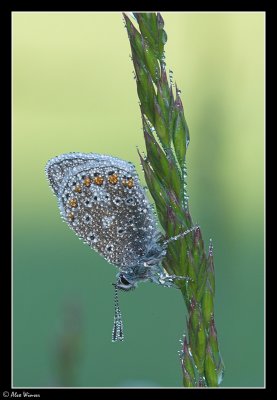 g6/65/523365/3/79822679.ZX57Jbs7.jpg