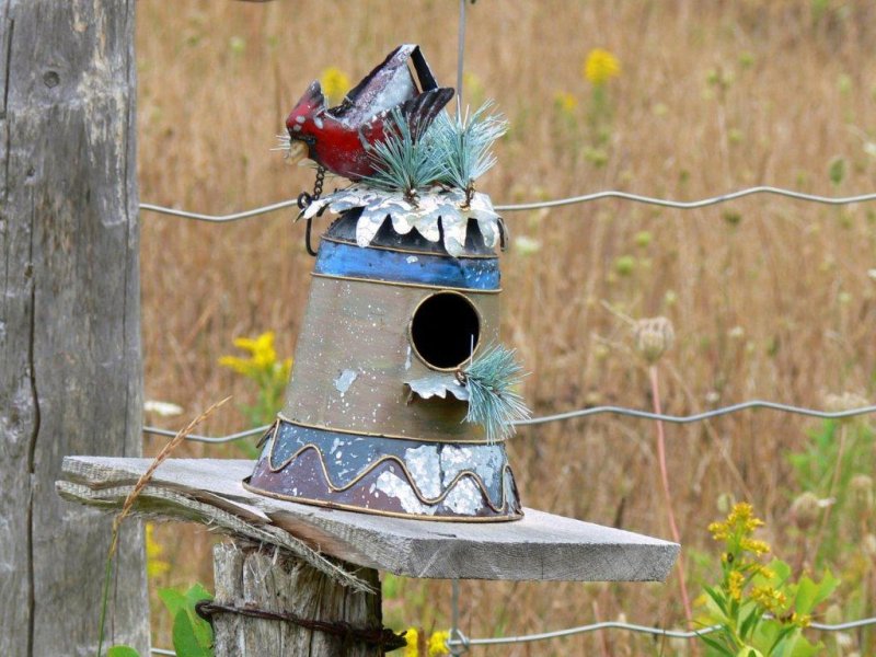 The fence post bird houses at Stokes Bay, Bruce Peninsula, Ontario