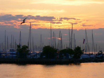 Sunrise at Port Credit Marina