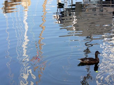 Oakville Marina