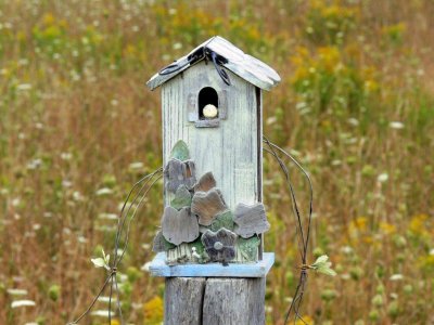 The fence post bird houses at Stokes Bay, Bruce Peninsula, Ontario