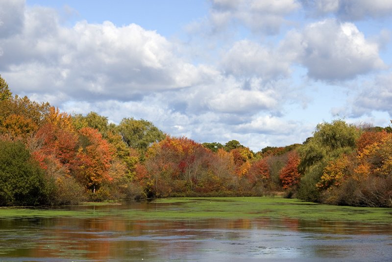 The Autumn Pond