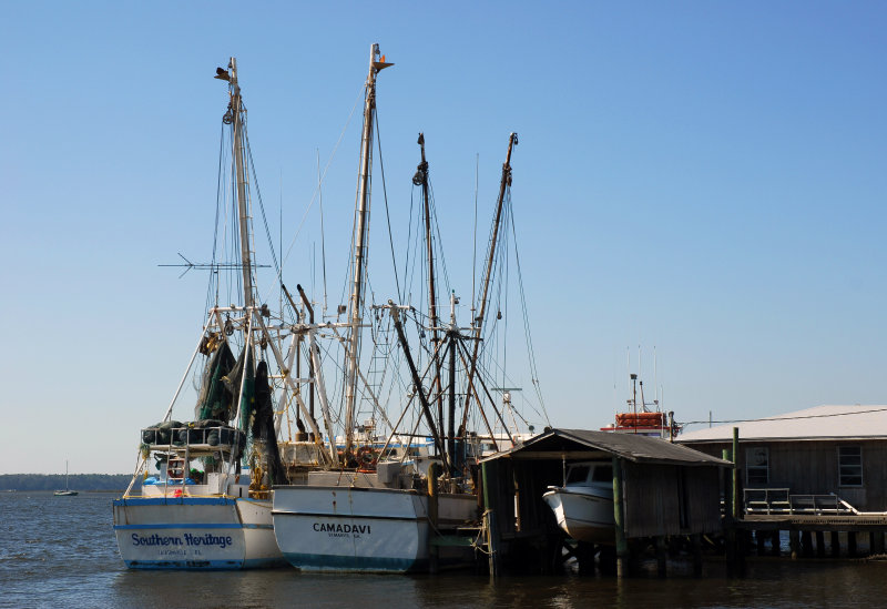 Saint Marys Harbor