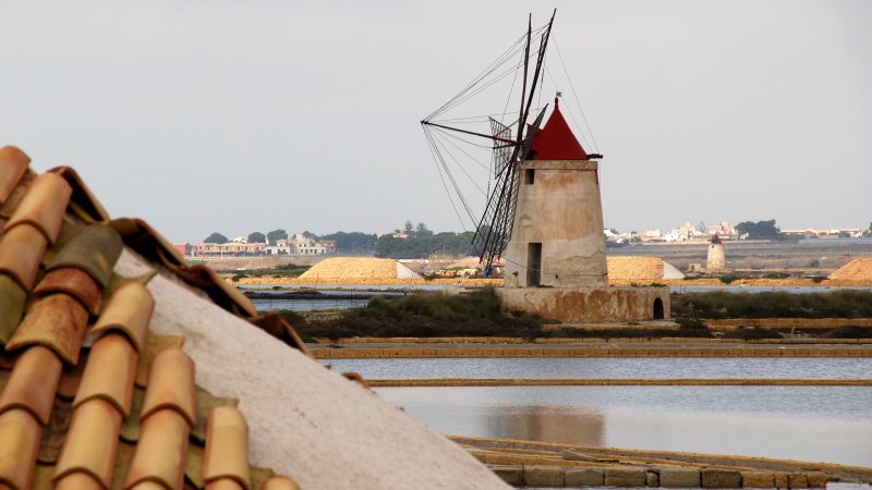 Windmill at the Salt Flats
