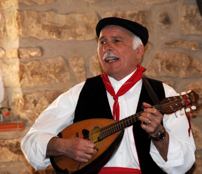 mandolin singer
