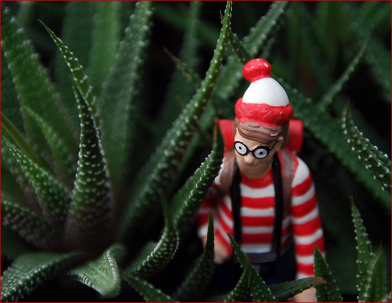 Where is Waldo??