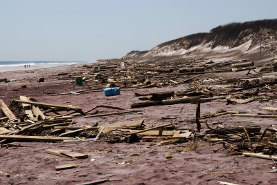 debris on the beach