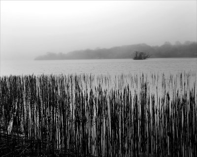 Montauk Fog