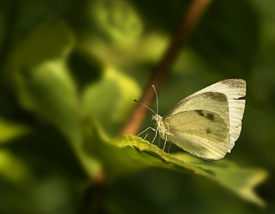 g6/65/575665/3/84562324.EKkg6nrd.jpg