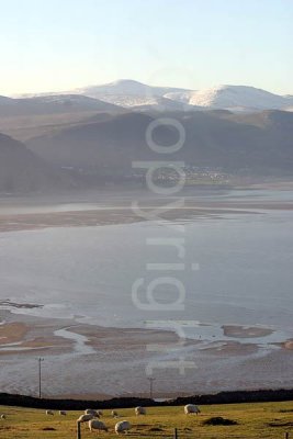 Conwy estuary with Carneddau in the distance from Great Orme Summit