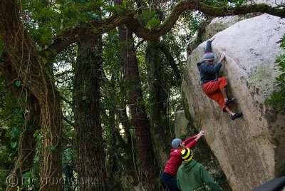 Bilha Dormente