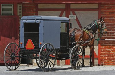 Horse and buggy51901.jpg