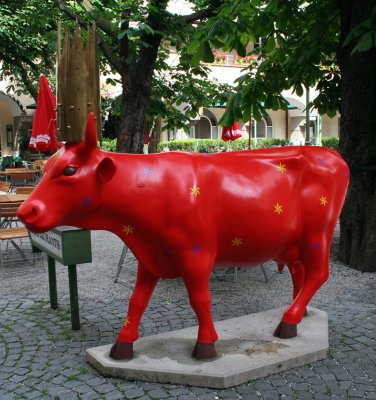 Crazy cow in Salzburg's bier garden