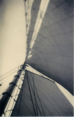 Looking Up at Sail.jpg