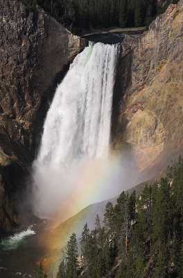 Yellowstone Falls