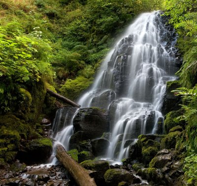 Fairy Falls