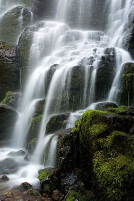 Fairy Falls Detail