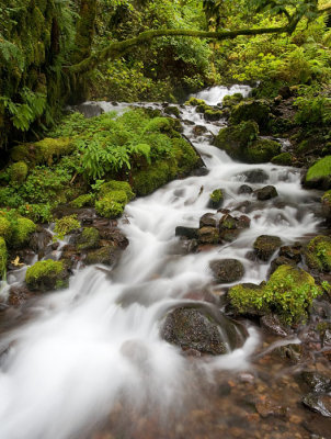 Wahkeena Creek