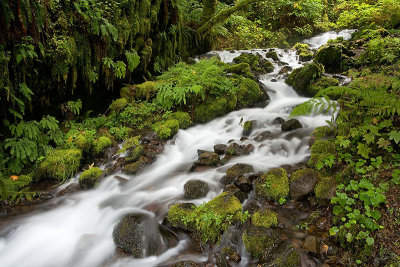 Wahkeena Creek