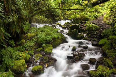 Columbia River Gorge