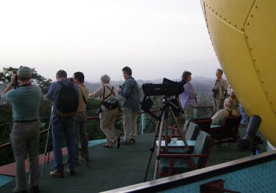 Birding from the Tower