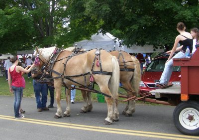Hayride
