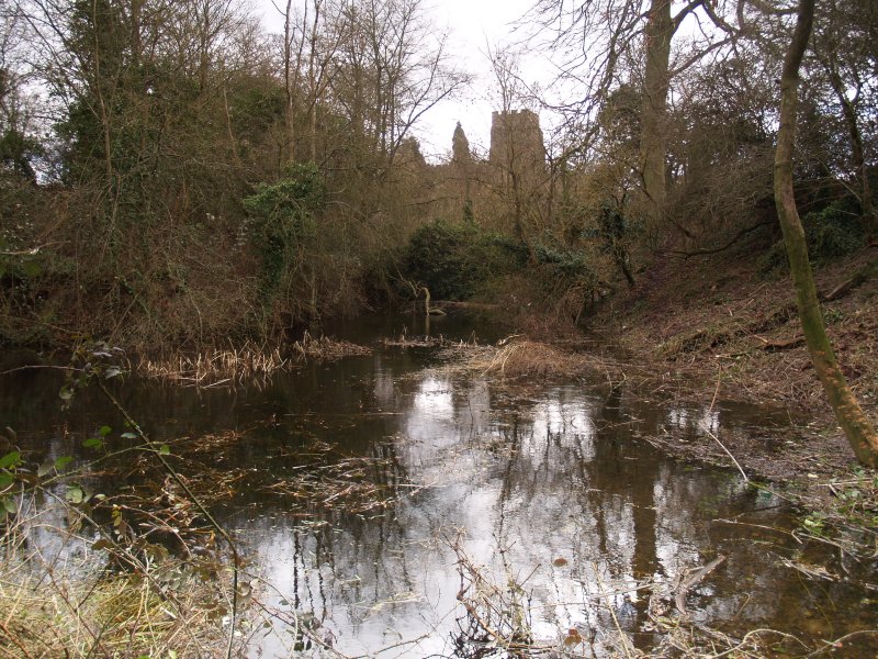 Clavering Castle moat,with church behind