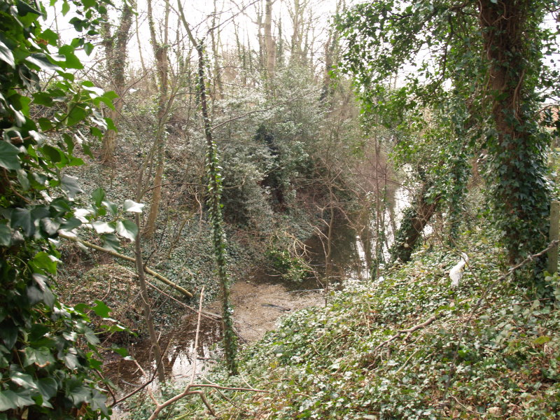 Chipping Ongar Castle;the moat