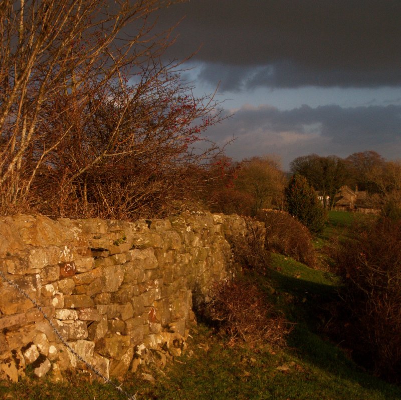 Hadrians Wall,in the wilds of Cumbria