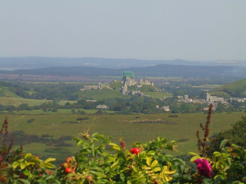 Corfe Castle,from Kingston.