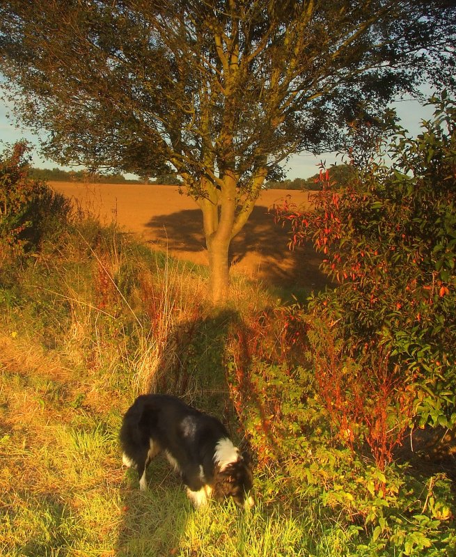 Lady in the shade.