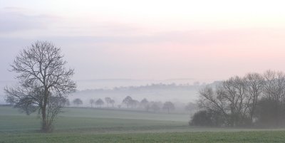 Misty dawn in the Roding Valley
