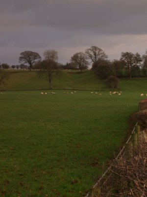 Hadrian's Wall,course of,near Walton.