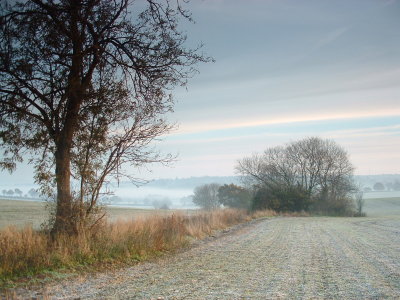 A cold dawn in the Roding Valley