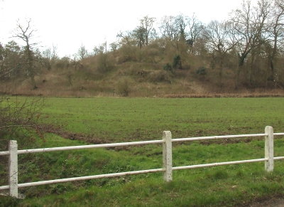 The  motte, Great  Canfield