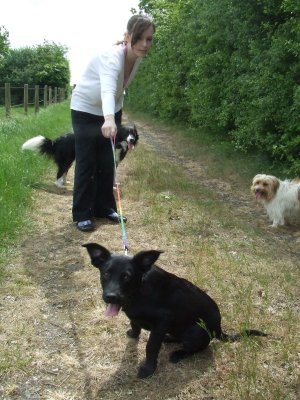 Jamie,with Snoopy and Lady,on Max's first walk.