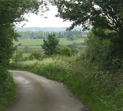 The Roding Valley