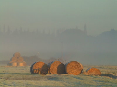 Early sunshine,bales of straw and mist.