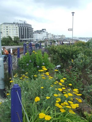 Eastbourne,the Wish Tower gardens
