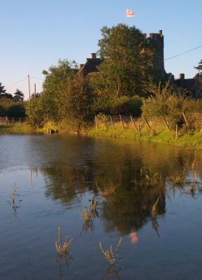 Stokesay  Castle ,obscured  by  trees, reflected.