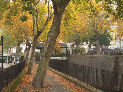 Trees by the Marylebone Tunnel