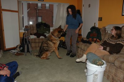 DSC_1595.JPG