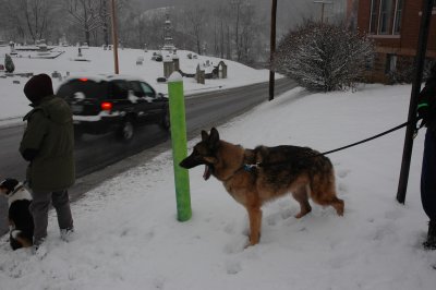 DSC_1620.JPG