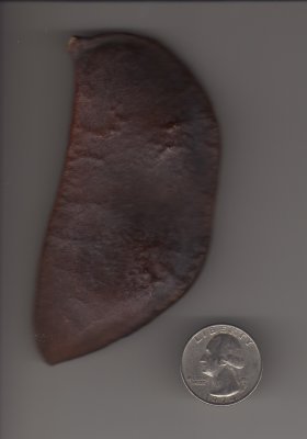 1634kyCoffeeTreePod.jpg