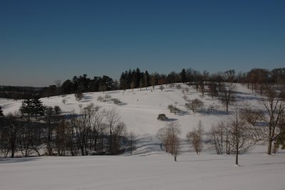1638snowCircles1.JPG