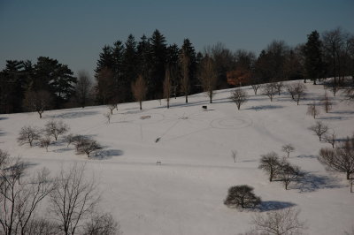 1639snowCircles2.JPG